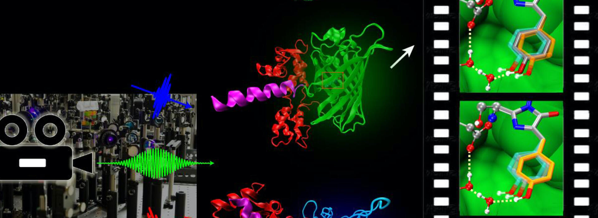 Graphic depicting molecular movie technology