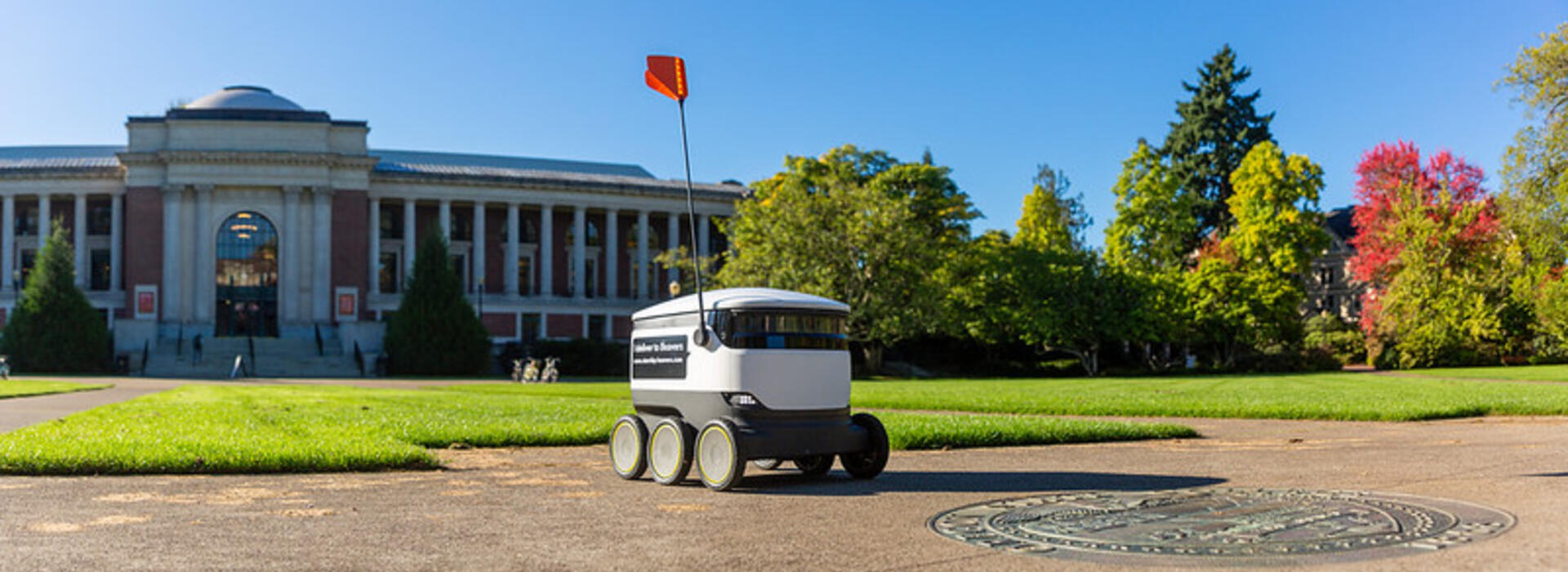 Delivery robot