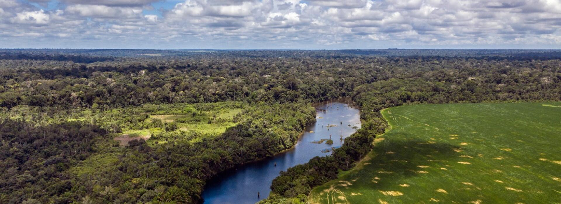 Flona Tapajós, Pará, Brasil by Marizilda Cruppe - Rede