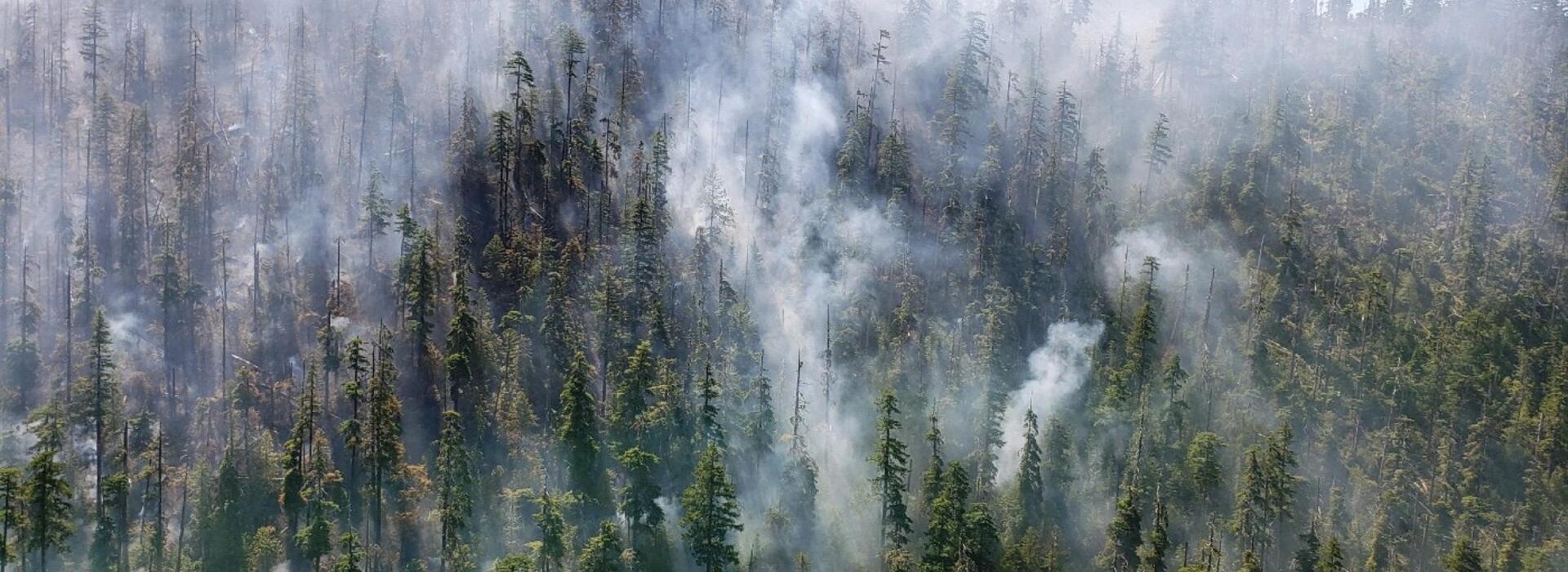 Beachie Creek fire