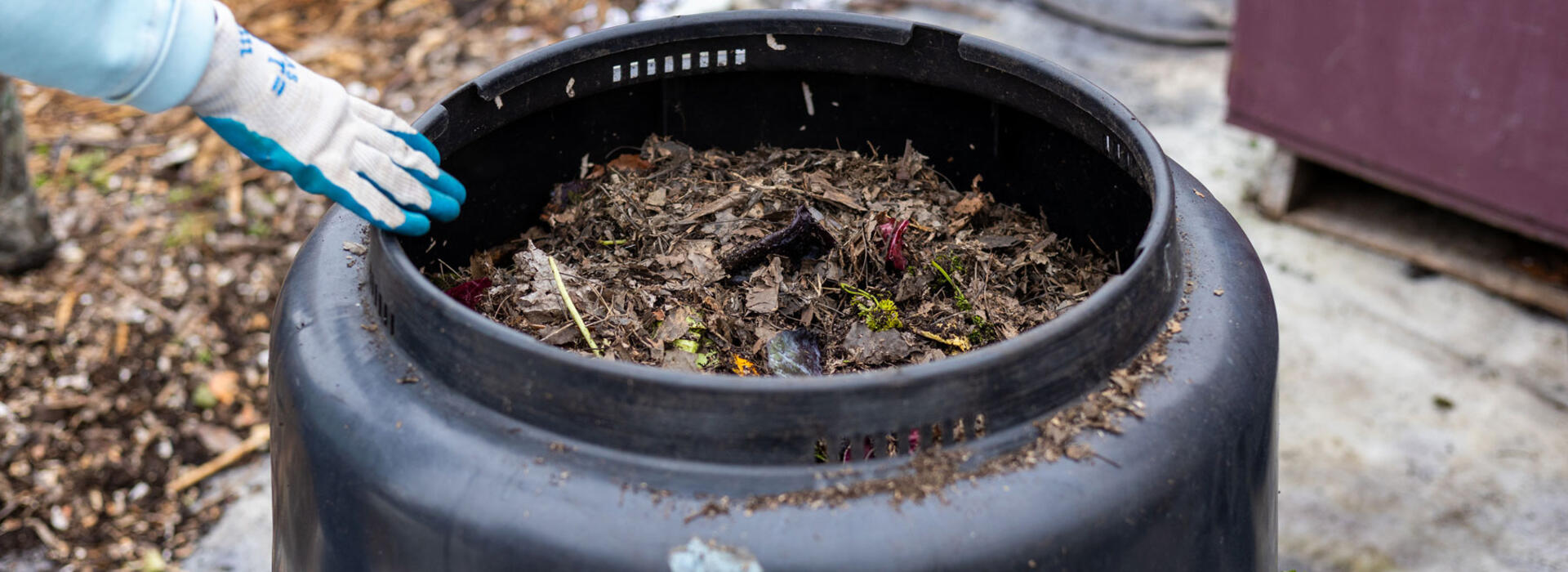 Compost in a large plastic container.