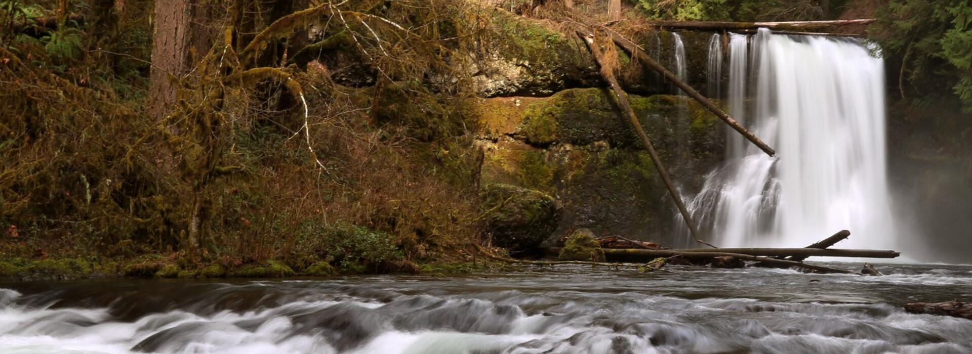 Upper North Falls, Silver Falls State Park. Photo by Steve Dundas, OSU College of Agricultural Sciences.