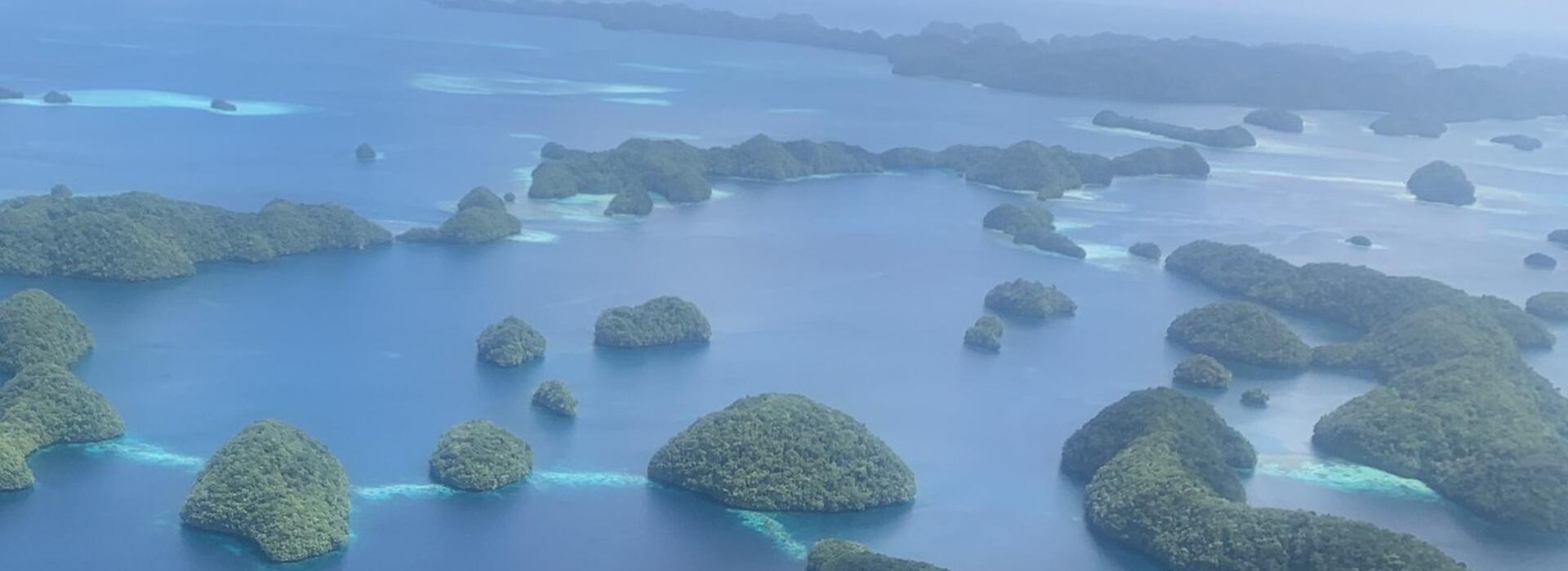 Palau National Marine Sanctuary, photo by Jenna Sullivan-Stack