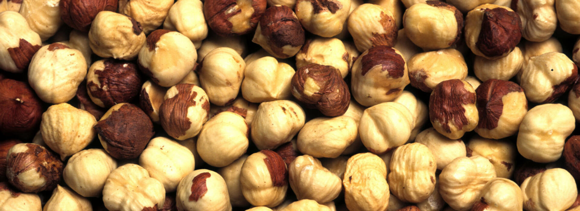 hazelnuts