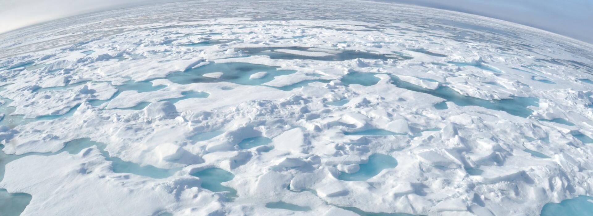 ice floe