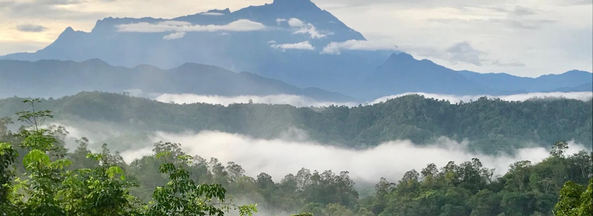 Intact forest in Borneo