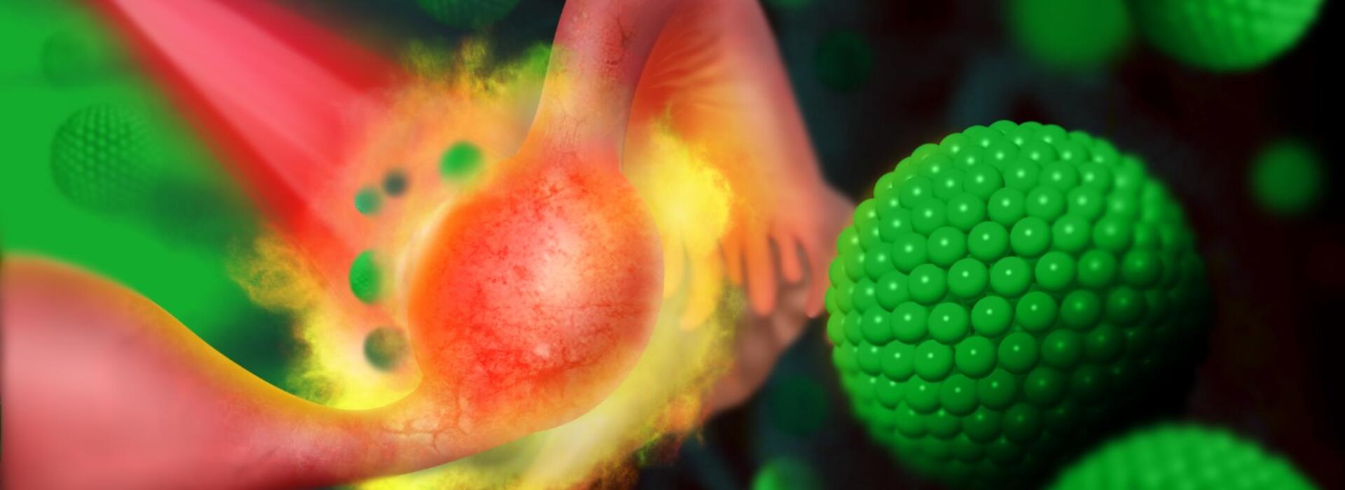 Graphic: Nanomedicine for treating ectopic pregnancy (credit: Parinaz Ghanbari)