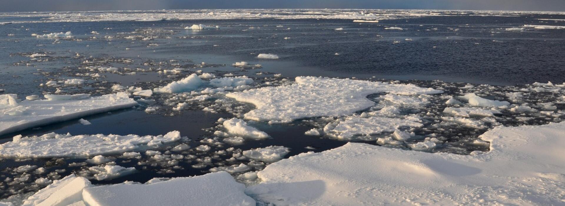 Melting sea ice (credit: Patrick Kelley, CC BY 2.0): <a href="https://en.wikipedia.org/wiki/Sea_ice#/media/File:Arctic_ice.jpg" rel="noreferrer nofollow">en.wikipedia.org/wiki/Sea_ice#/media/File:Arctic_ice.jpg</a>