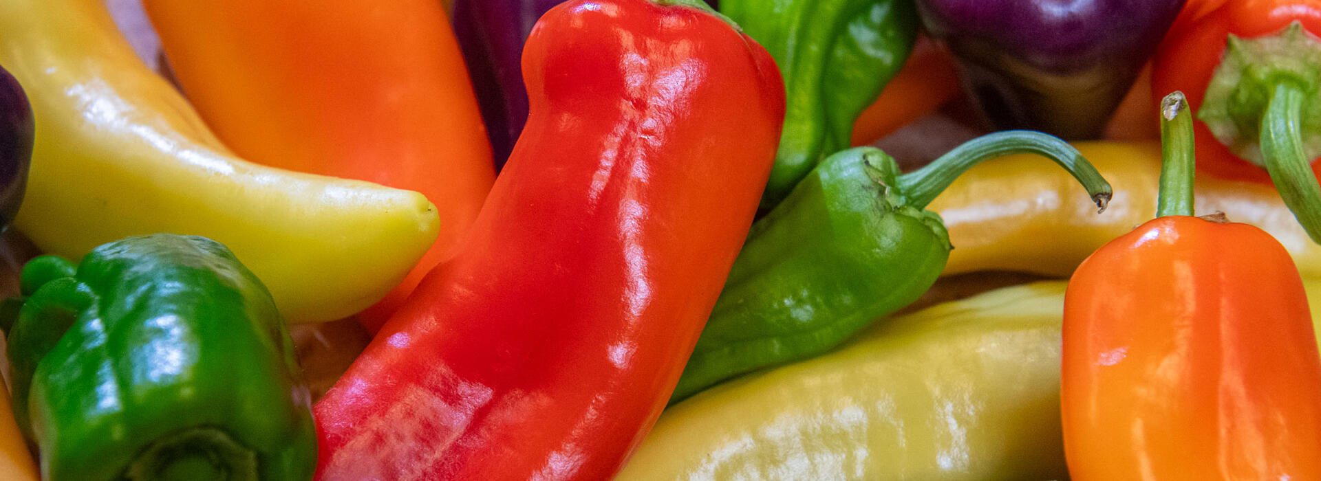 Growing peppers in maritime Northwest is more challenging than in Mexico, but it cane be done.