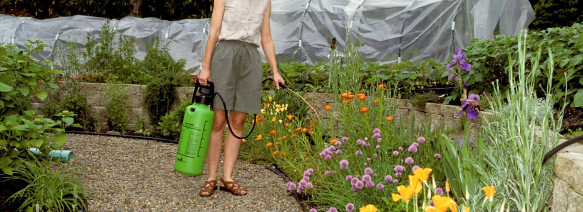 organic garden