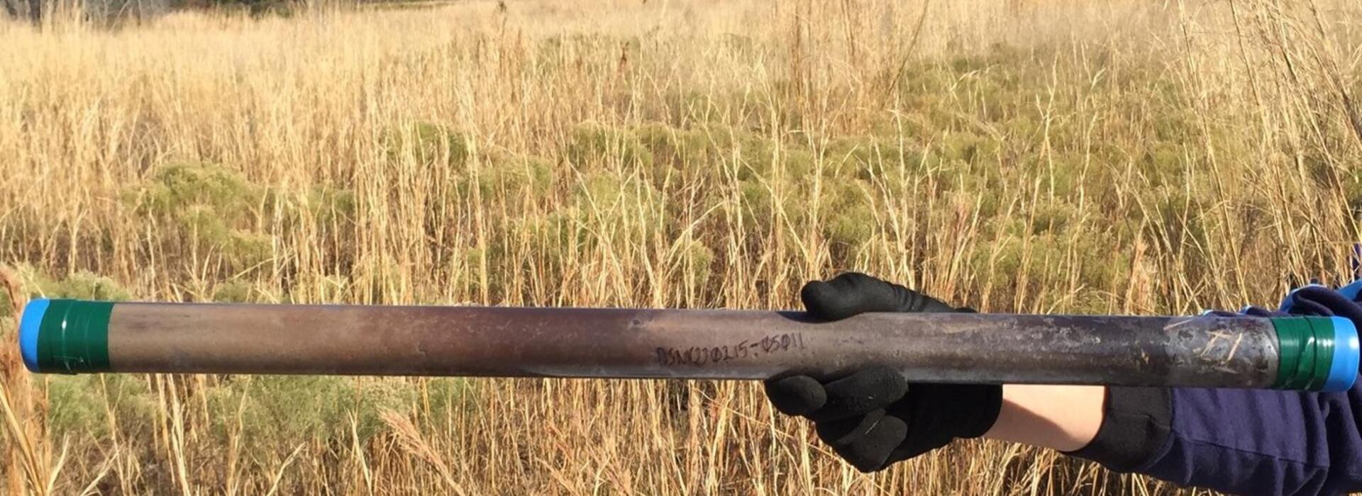 Soil core from the Disney NEON site in central Florida.