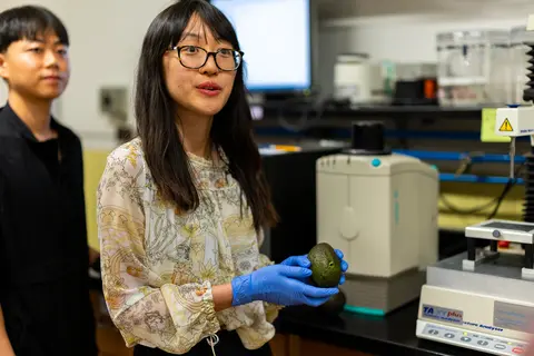 Luyao Ma holding an avocado with a hole in it in a lab with In-Hwan Lee in the background.