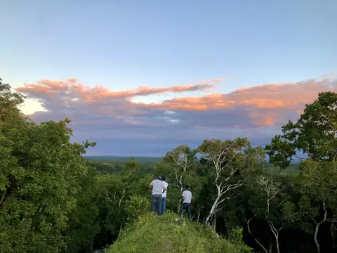 Three members of field crew look out at Maya Biosphere Reserve in Guatemala.