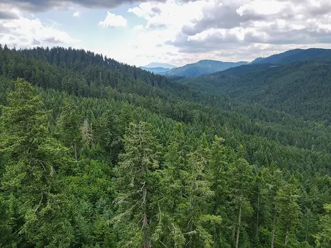 McDonald Forest, foreground, and Marys Peak.