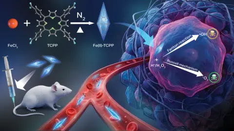 Graphic depicting how new CDT nanoagent works.