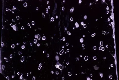 Close up image of tiny bubbles encased in ice from Antarctica.