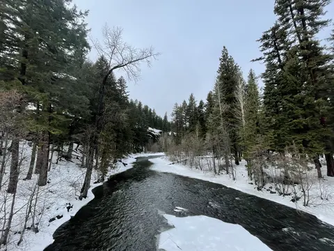 Naches River with snow and trees on banks
