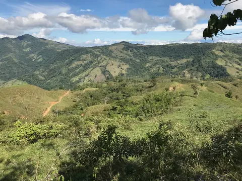 The landscape around Las Cruces Biological Station, Costa Rica, shows small forest patches in a somewhat permeable matrix (photo provided by Matt Betts, OSU College of Forestry)