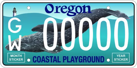 license plate