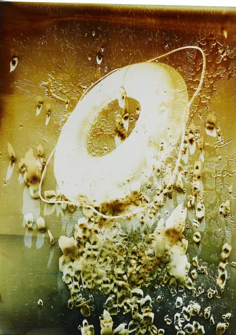 Lifesaver, 2015, 56 1/4 x 40 inches, unique chromogenic photogram by Farrah Karapetian