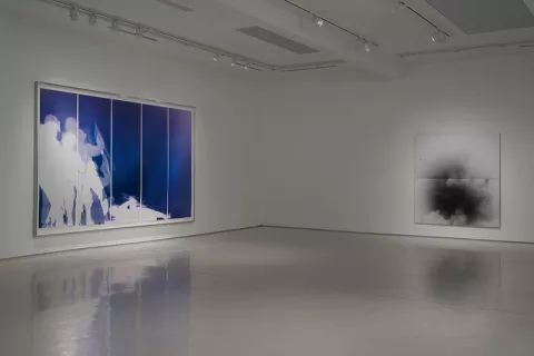 Installation view, Riot Police & Aftermath, 2011, unique chromogenic photograms, by Farrah Karapetian
