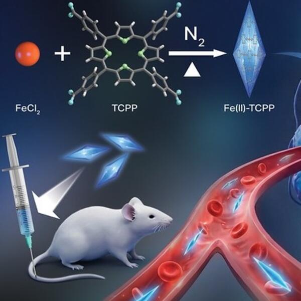 Graphic depicting how new CDT nanoagent works.